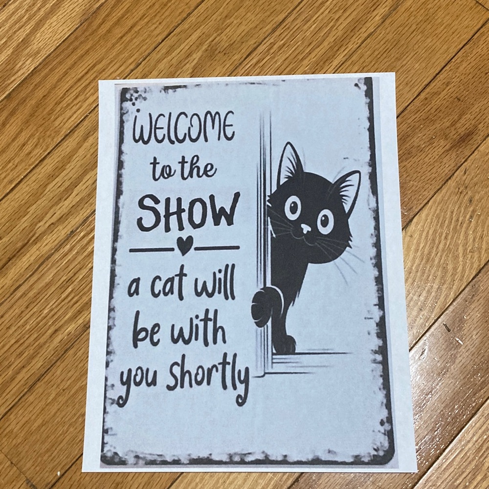 Live Show Flier ❣️ Disney Show: Saturday (Mornings EST) - Picture 11 of 11